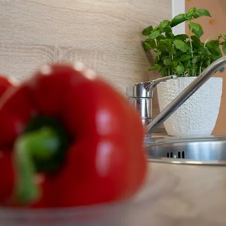 Str 294 - Appartementhaus Strandallee Apartment Haffkrug